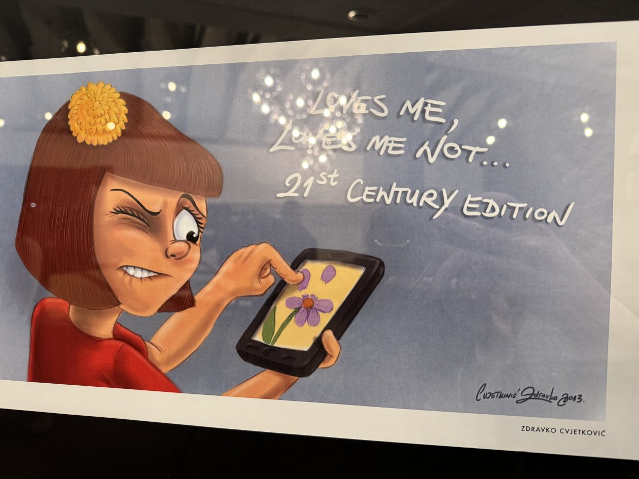 Međunarodna izložba Voli me Ne voli me (7)