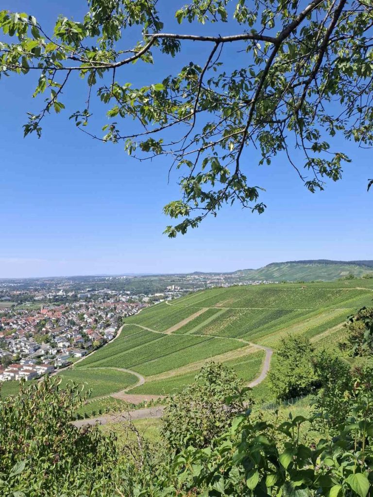 Međunarodna razmjena u okviru projekta „Rems-Murr-Kreis & Friends“ (12)