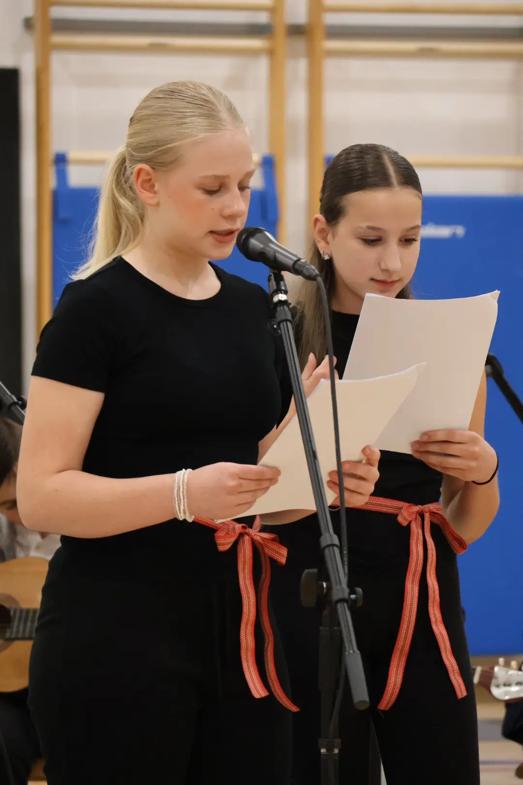 Međunarodni folklorni susret Draškovec folklor (18)