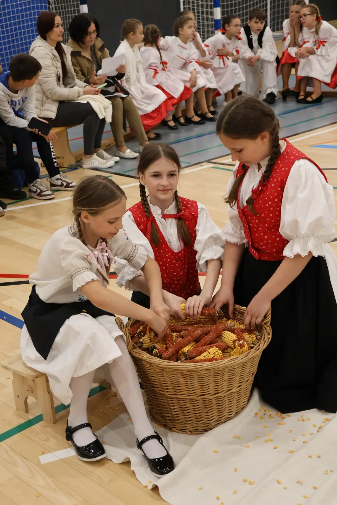 Međunarodni folklorni susret Draškovec folklor (8)