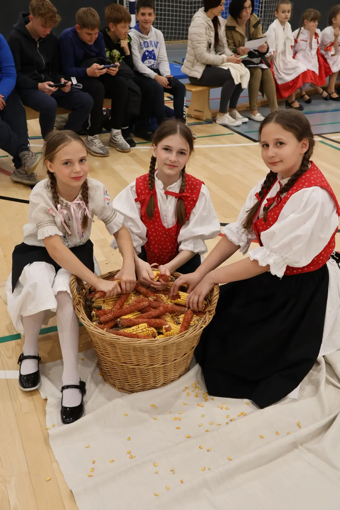 Međunarodni folklorni susret Draškovec folklor (9)