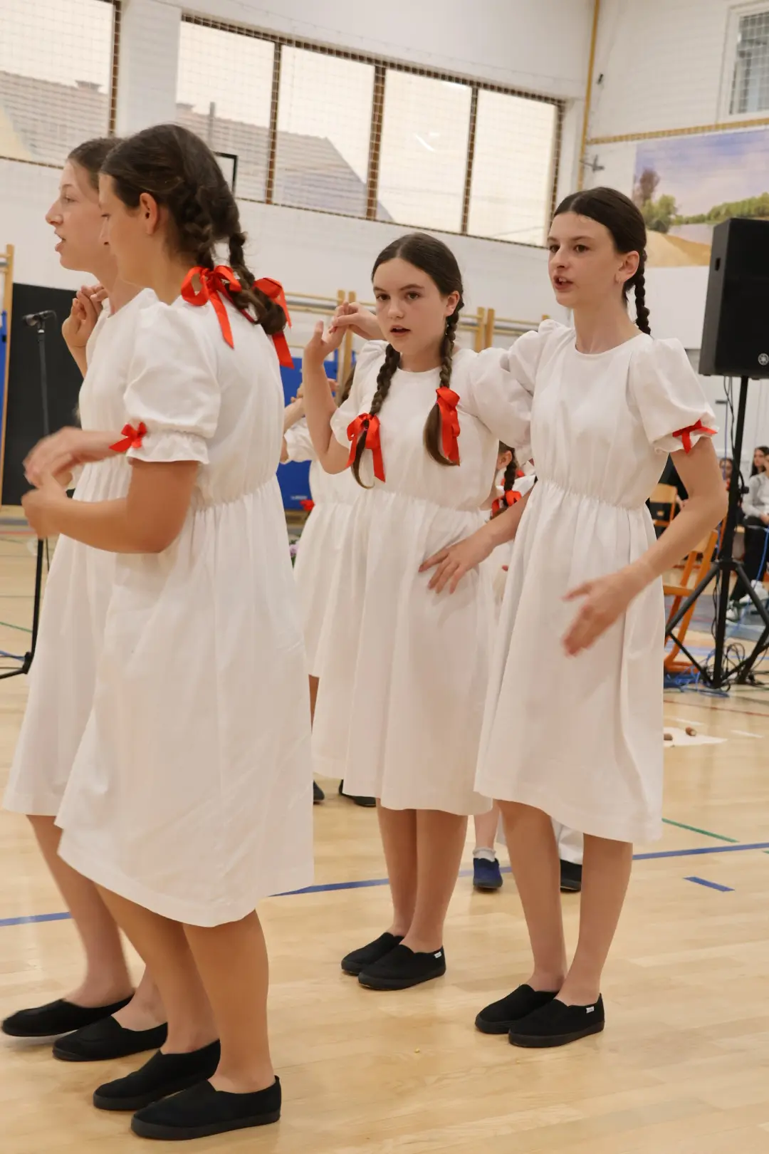 Međunarodni folklorni susret Draškovec folklor (92)
