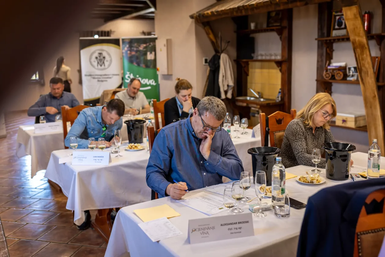 Međunarodno ocjenjivanje vina – Štrigova 7