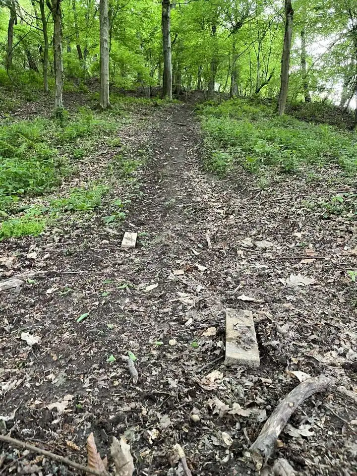 Merhatovec – zamke u šumi (2)