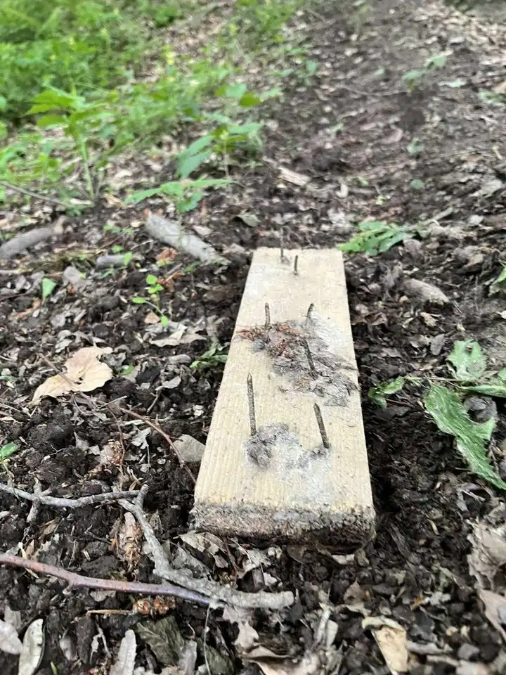 Merhatovec – zamke u šumi (3)