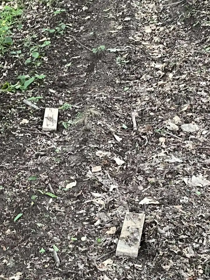 Merhatovec – zamke u šumi (4)