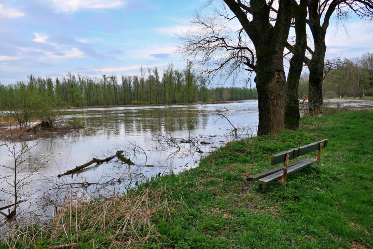 Messenger_creation_D73A75E7-186A-46D5-884D-E512C142AE8A Messenger_creation_D73A75E7-186A-46D5-884D-E512C142AE8A