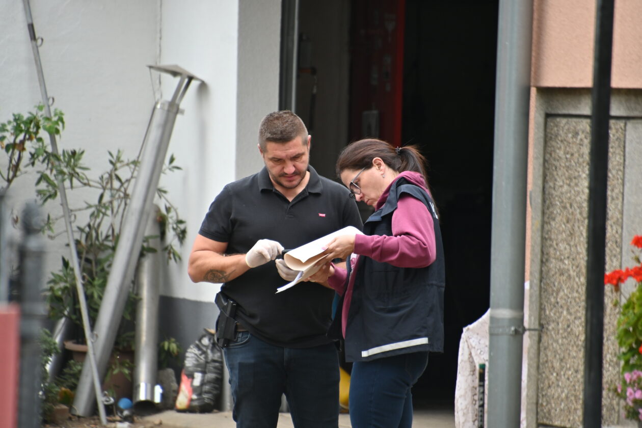 Mihael Lajtman, Mala Subotica, izvidi (6)