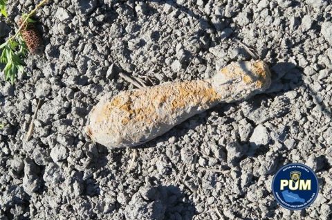 Mina Kotoriba 08042026