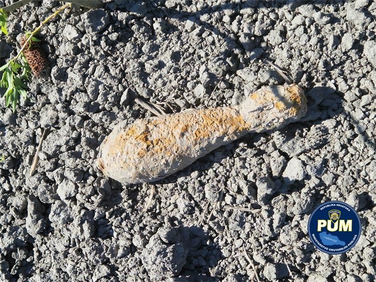 Mina Kotoriba 08042026 Mina Kotoriba 08042026