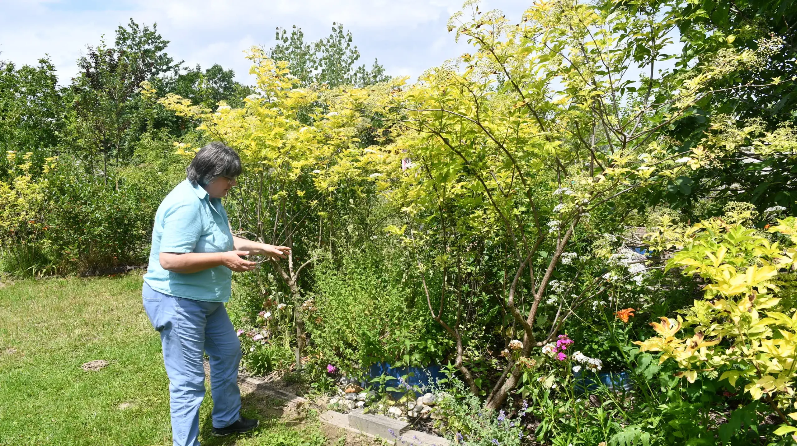 Mirjana Biber-Hren (1)