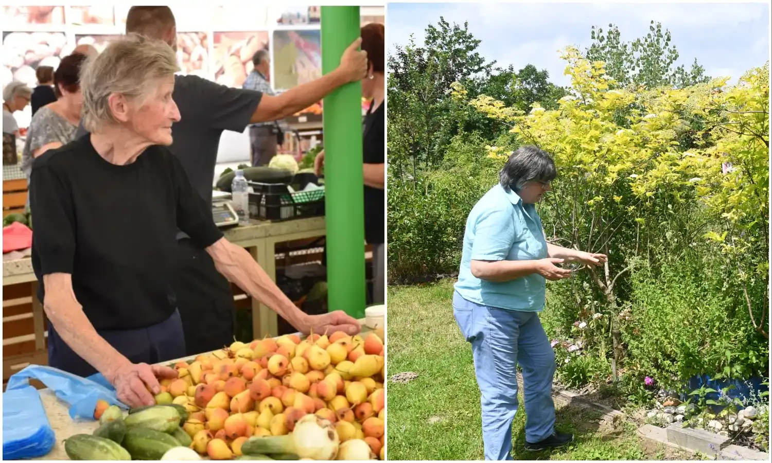 Mirjana Biber-Hren (2)