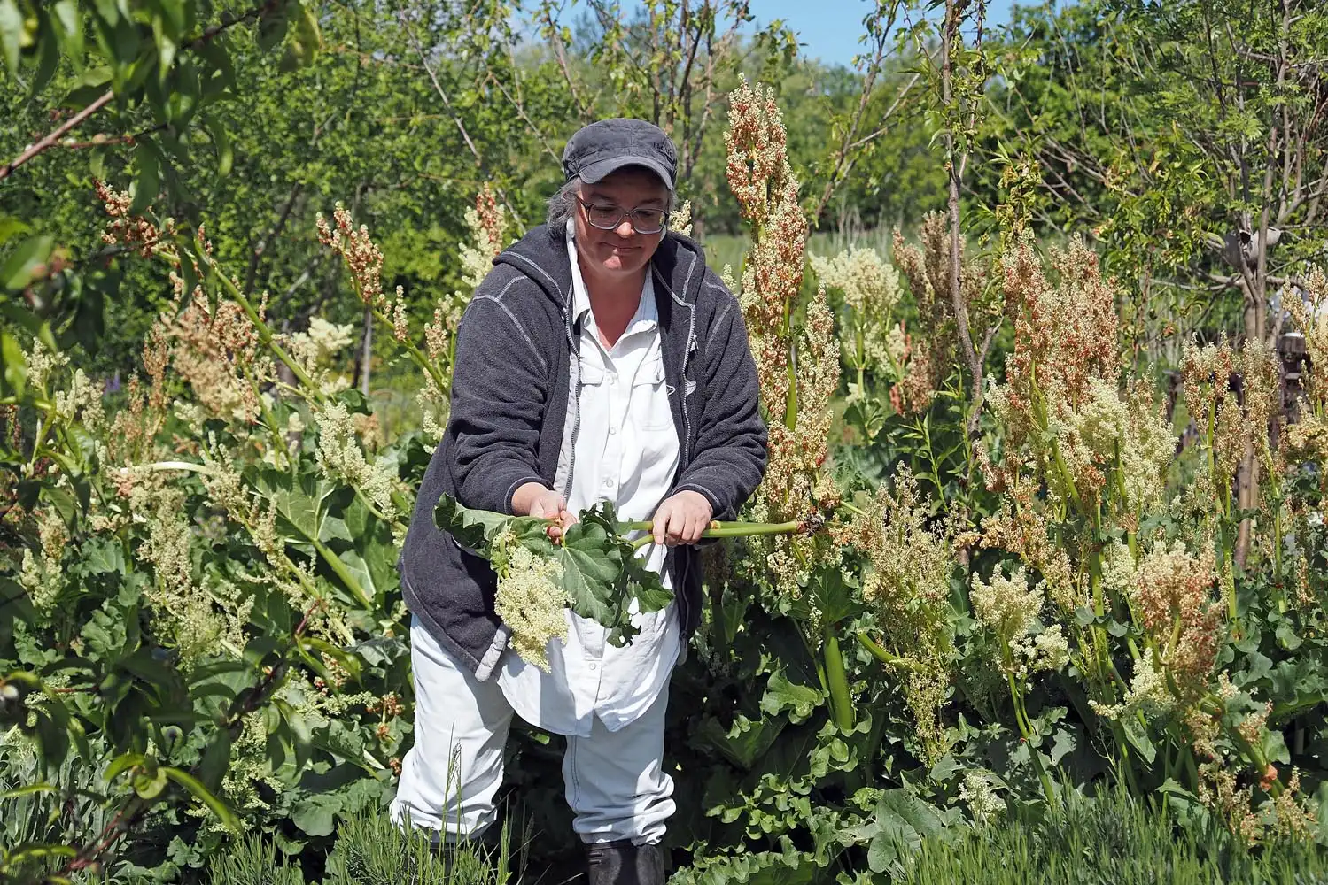 Mirjana Pozojev Vrscak (1)