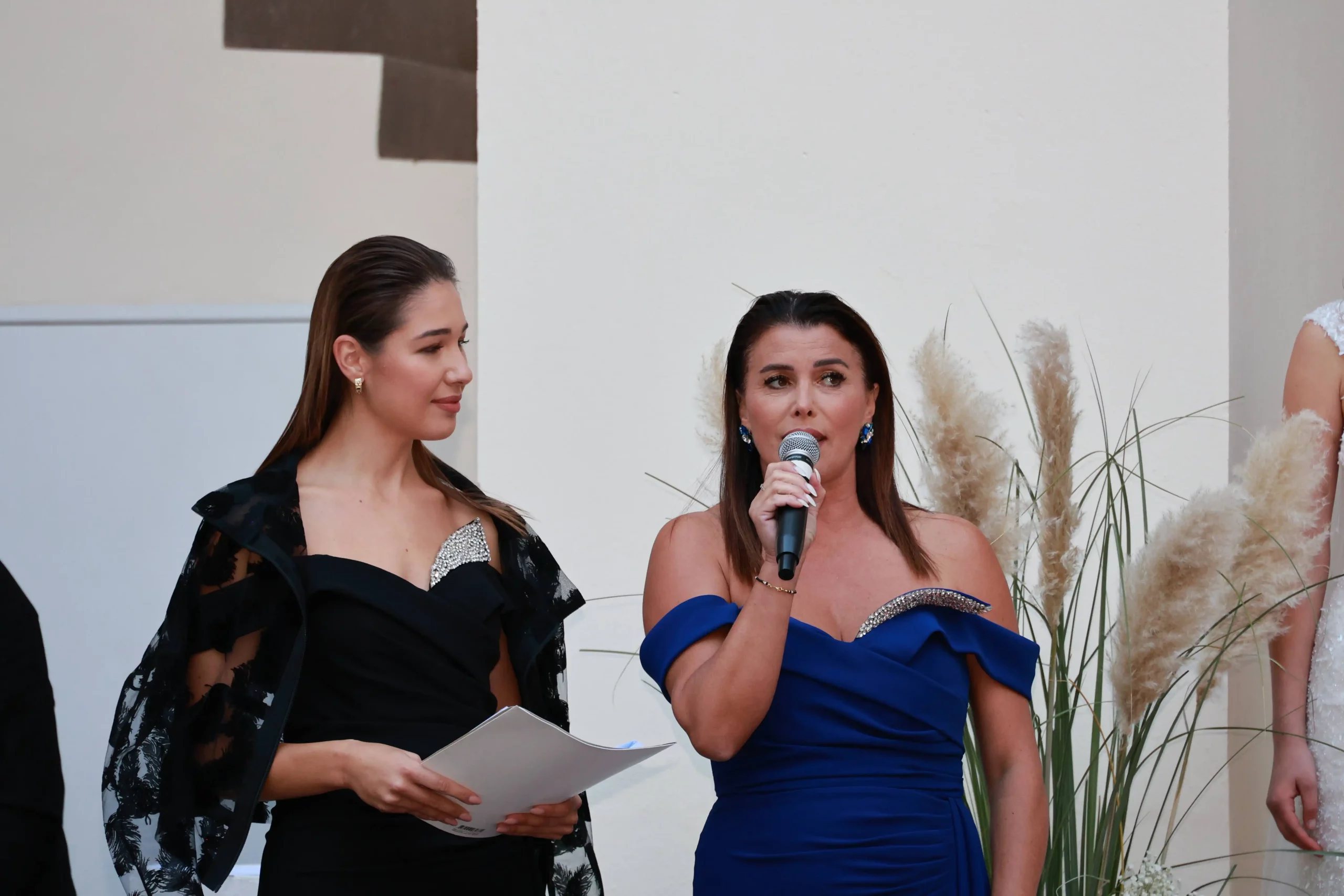 Miss Međimruske županije – Laura Dasović (48) Miss Međimruske županije – Laura Dasović (48)