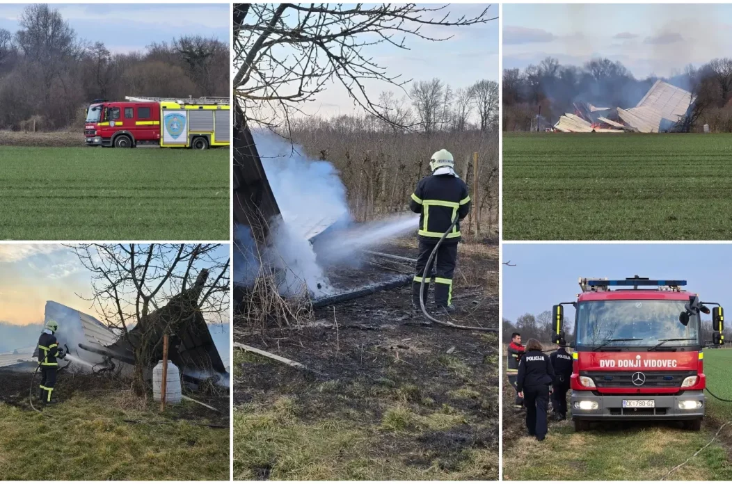 MixCollage-01-Mar-2025-08-33-PM-9488 MixCollage-01-Mar-2025-08-33-PM-9488