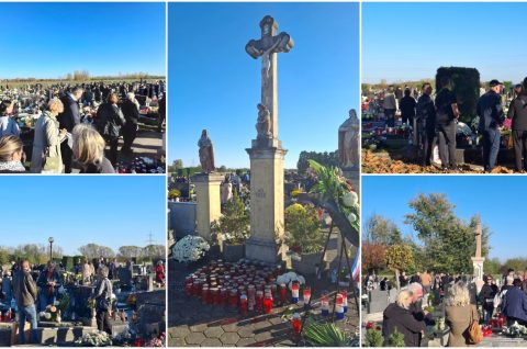 MixCollage-01-Nov-2025-02-41-PM-4547