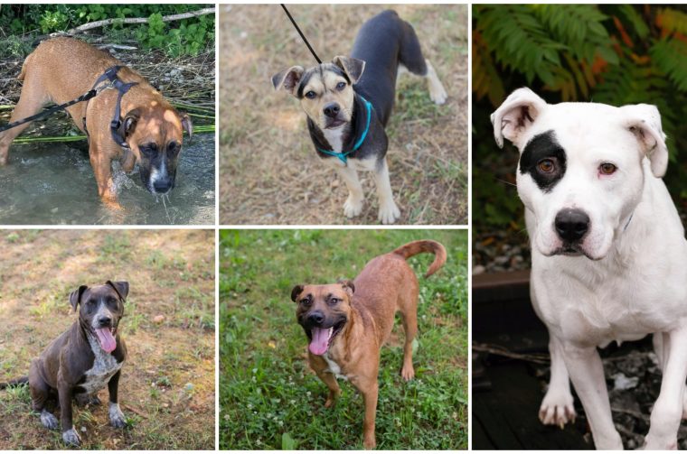 MixCollage-01-Oct-2025-02-07-PM-2449