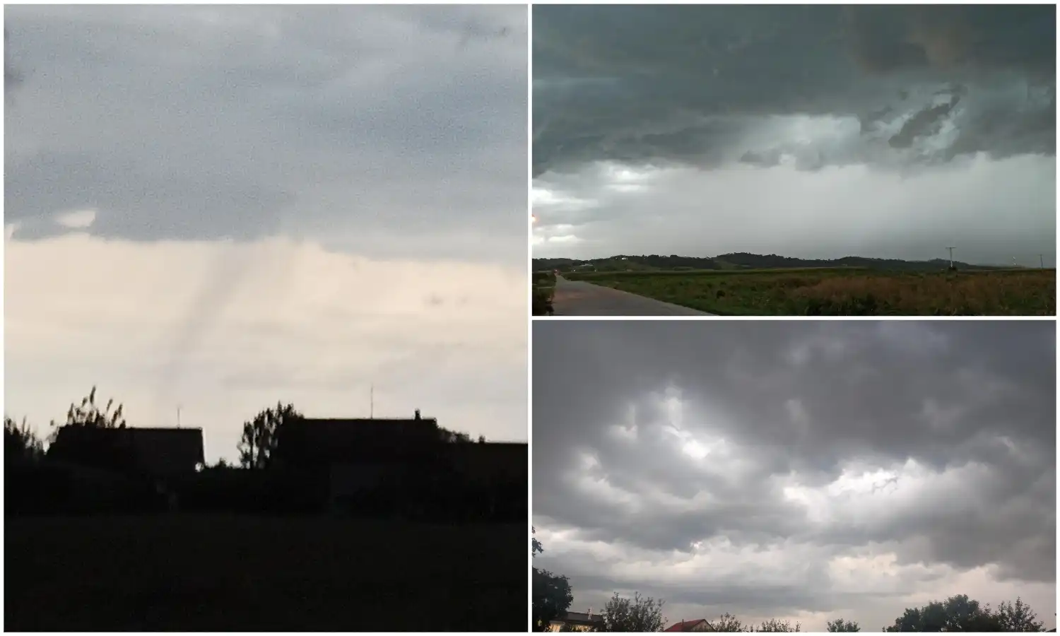 MixCollage-02-Aug-2024-07-54-PM-8496