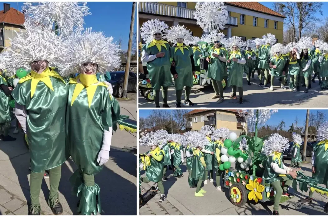 MixCollage-02-Mar-2025-06-15-PM-5464 MixCollage-02-Mar-2025-06-15-PM-5464