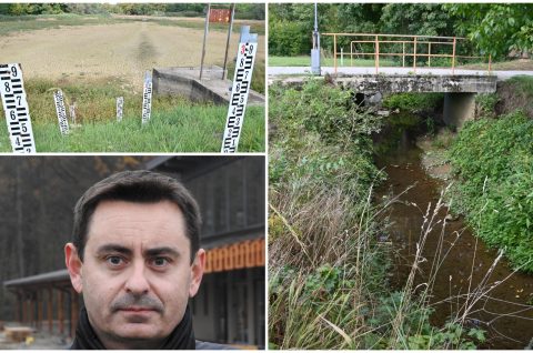 MixCollage-02-Oct-2025-07-37-PM-8597