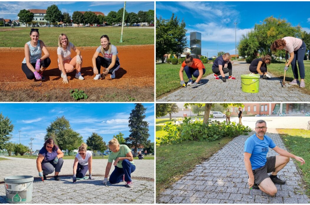 MixCollage-02-Sep-2025-06-35-PM-9960 MixCollage-02-Sep-2025-06-35-PM-9960