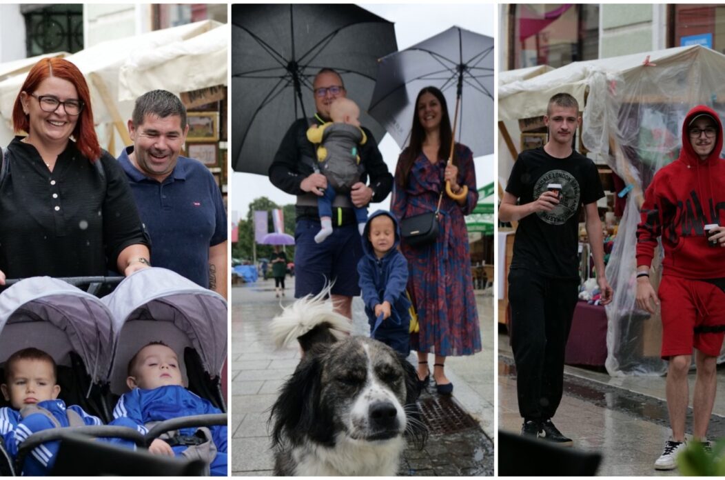 MixCollage-03-Aug-2025-11-23-AM-8068