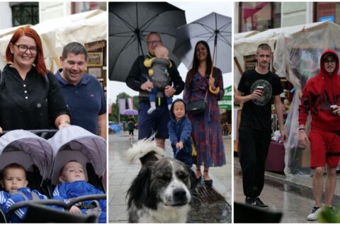 MixCollage-03-Aug-2025-11-23-AM-8068