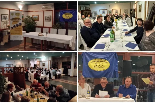 MixCollage-03-Feb-2025-08-53-AM-6484