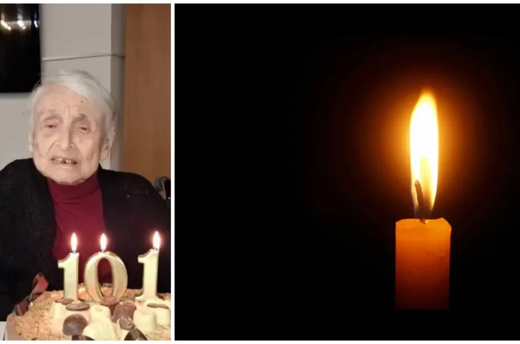 MixCollage-03-Feb-2025-11-19-AM-7704 MixCollage-03-Feb-2025-11-19-AM-7704