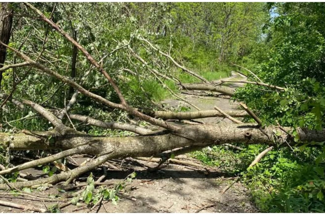 MixCollage-03-May-2025-03-54-PM-2667