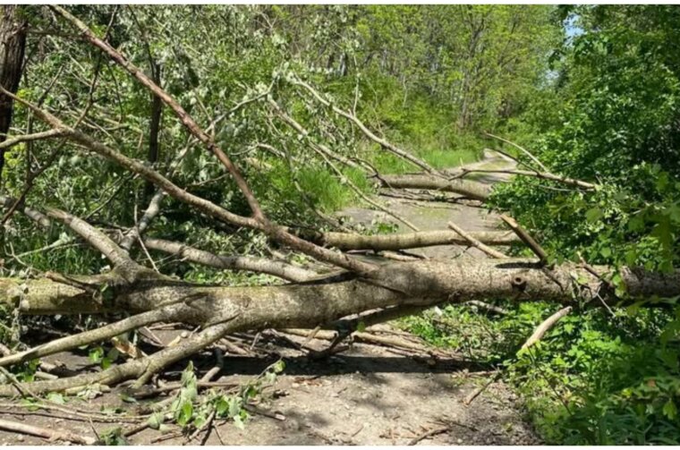 MixCollage-03-May-2025-03-54-PM-2667