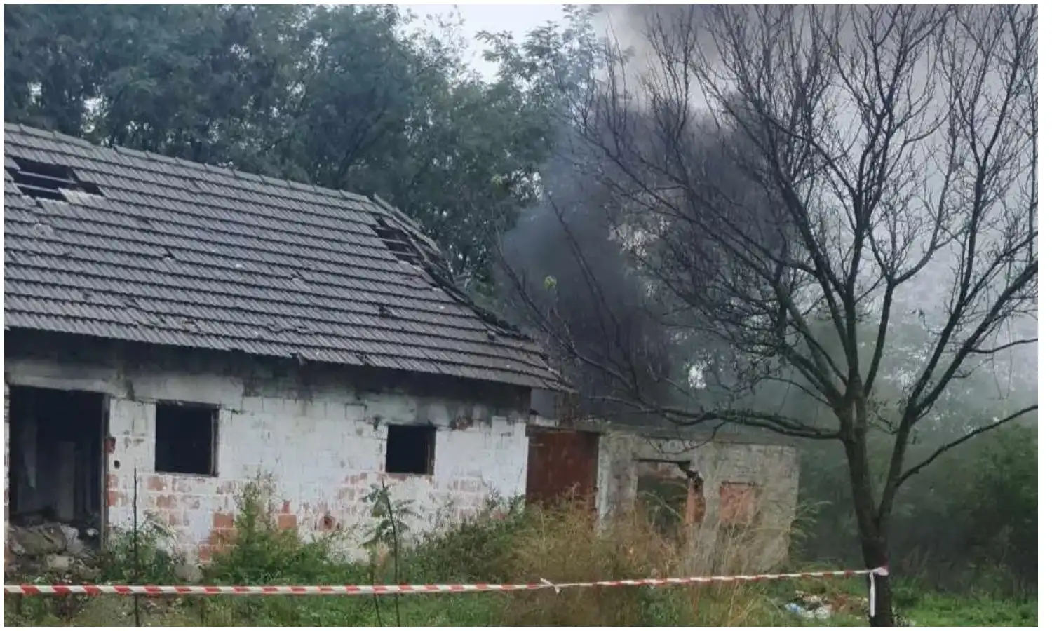 MixCollage-03-Oct-2024-01-34-PM-3038 MixCollage-03-Oct-2024-01-34-PM-3038