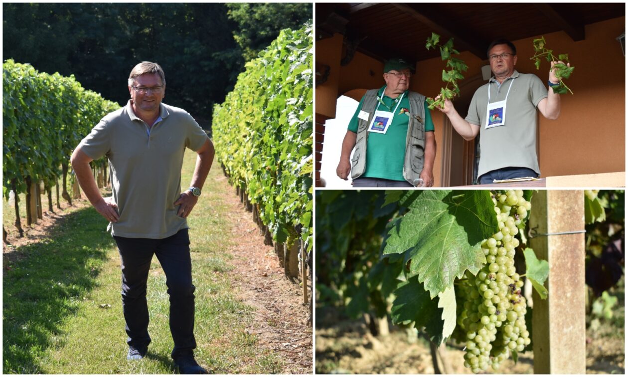 MixCollage-03-Sep-2025-05-07-PM-3312