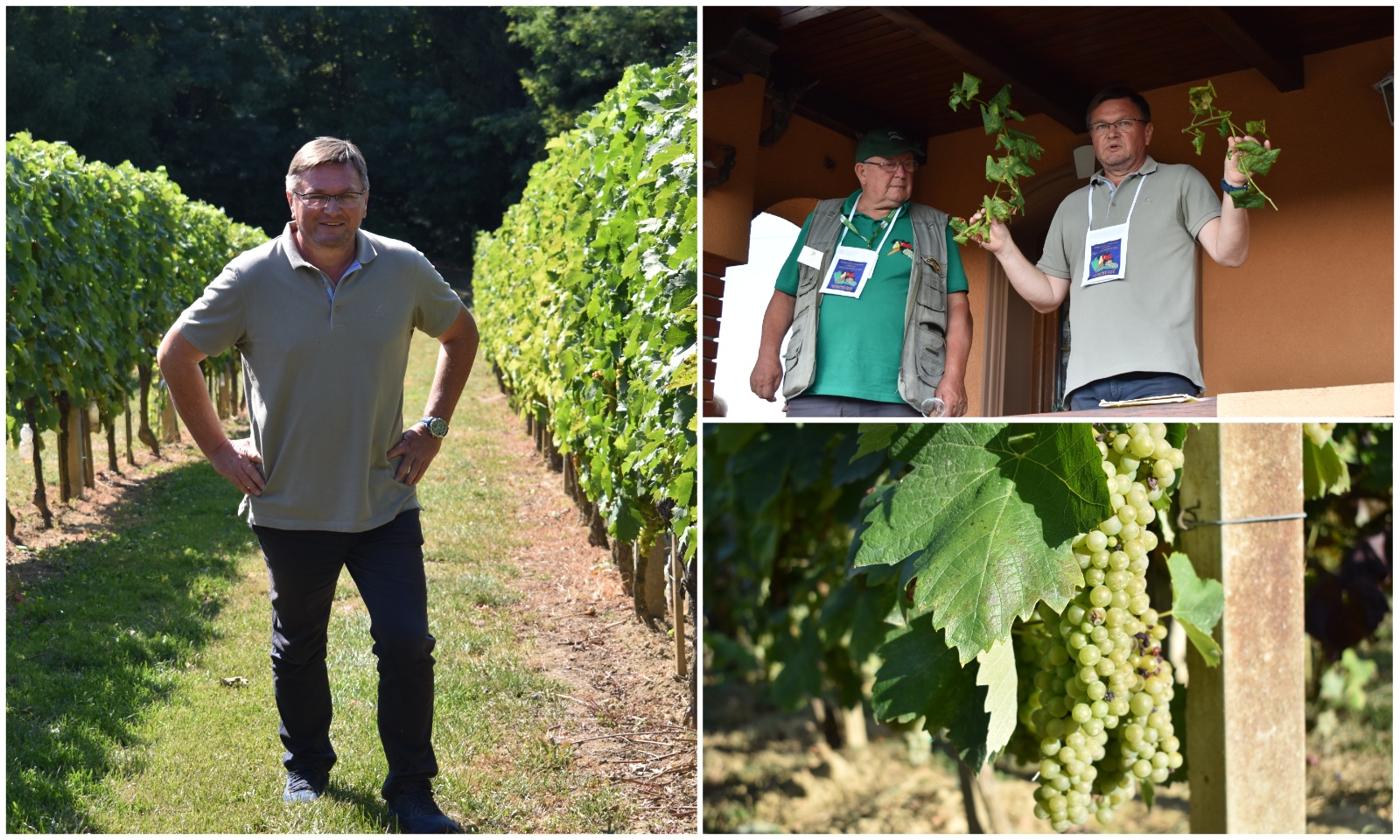 MixCollage-03-Sep-2025-05-07-PM-3312