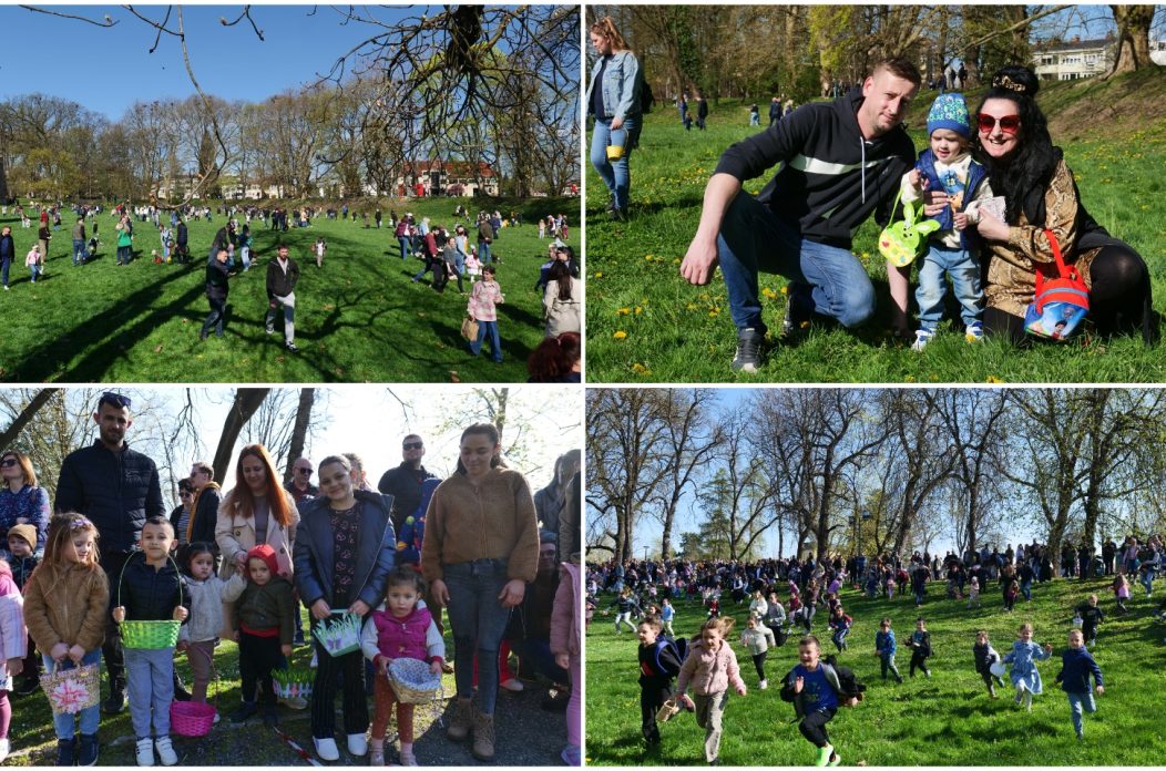 MixCollage-04-Apr-2026-11-05-AM-9534 MixCollage-04-Apr-2026-11-05-AM-9534