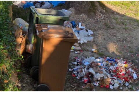 MixCollage-04-May-2025-08-29-AM-7912