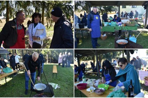 MixCollage-04-Oct-2025-12-04-PM-3409