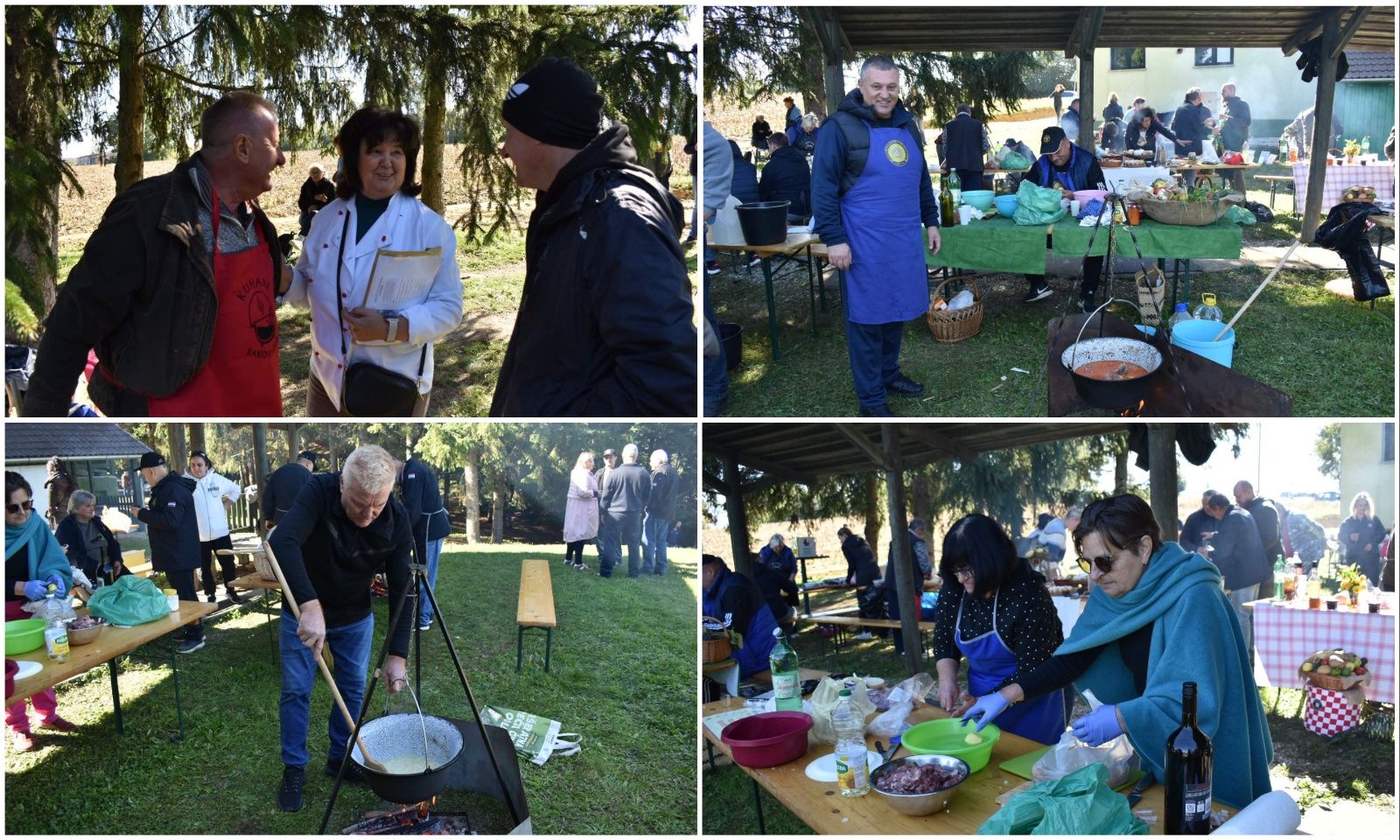 MixCollage-04-Oct-2025-12-04-PM-3409 MixCollage-04-Oct-2025-12-04-PM-3409