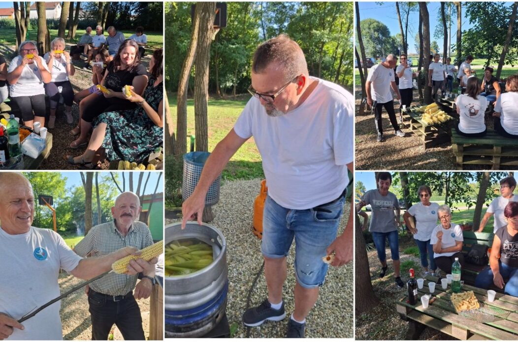 MixCollage-05-Aug-2025-07-28-PM-1876 MixCollage-05-Aug-2025-07-28-PM-1876