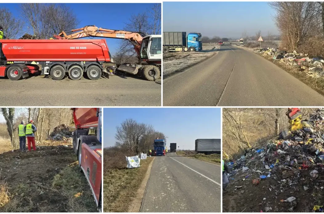 MixCollage-05-Feb-2025-01-06-PM-9566