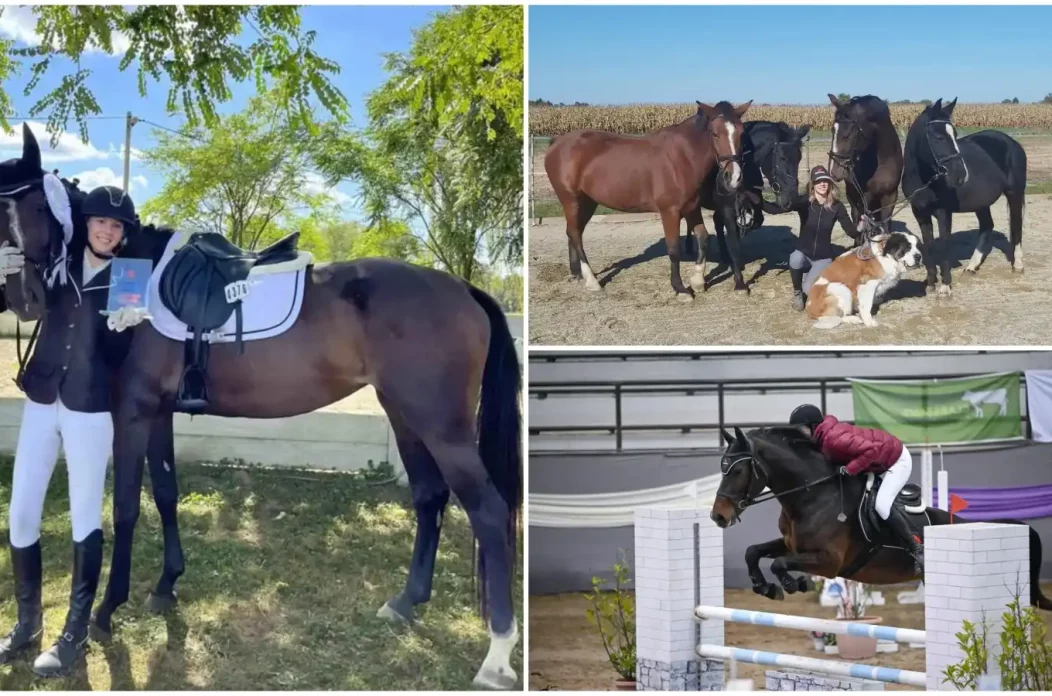 MixCollage-05-Feb-2025-12-25-PM-4172 MixCollage-05-Feb-2025-12-25-PM-4172