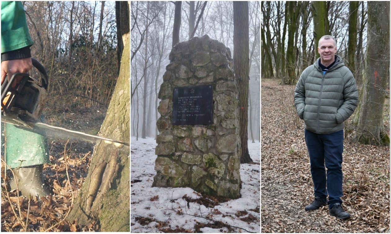 MixCollage-05-Feb-2026-08-31-AM-4631