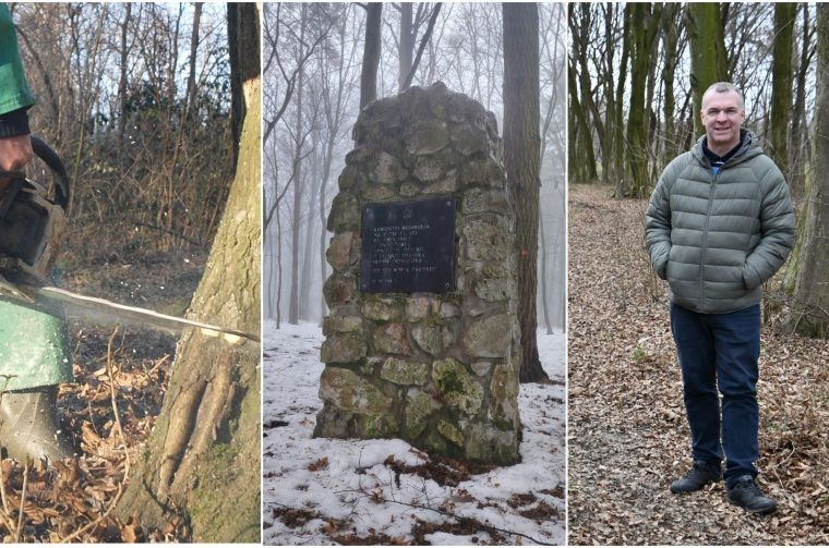 MixCollage-05-Feb-2026-08-31-AM-4631