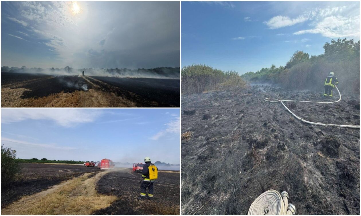 MixCollage-05-Jul-2025-01-41-PM-2331