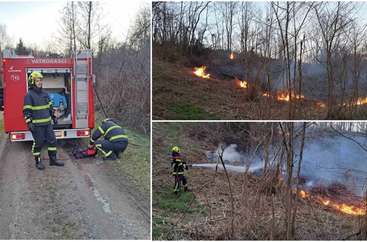 MixCollage-05-Mar-2025-10-00-PM-1253