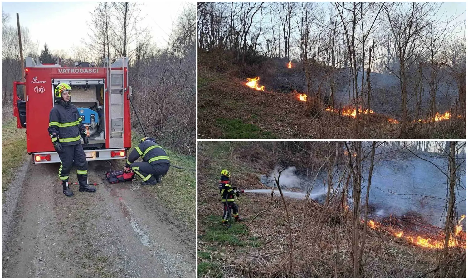 MixCollage-05-Mar-2025-10-00-PM-1253