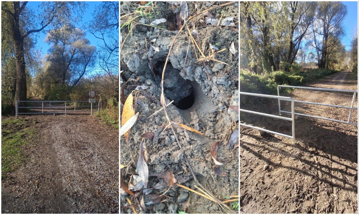 MixCollage-05-Nov-2025-09-36-AM-4860