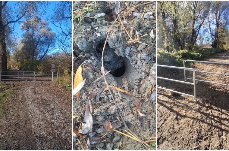 MixCollage-05-Nov-2025-09-36-AM-4860