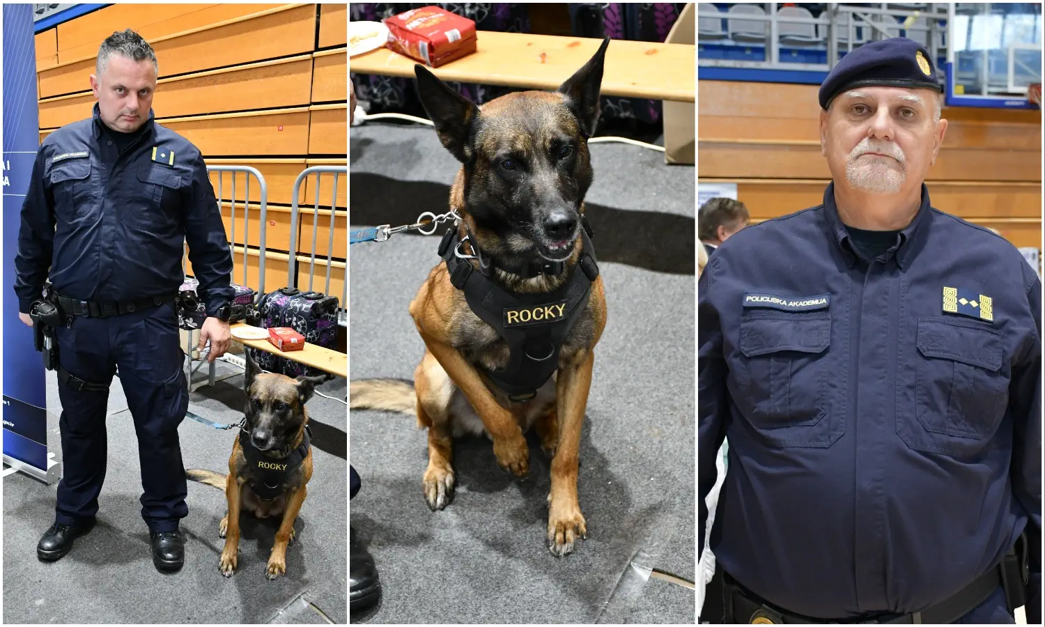 Sajam sigurnosti i prevencije, Rocky