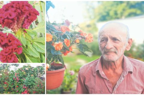 MixCollage-05-Oct-2025-08-25-AM-2755